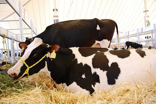 7111170065_b5f4e1db68