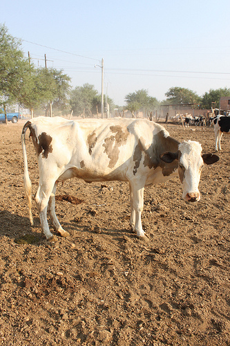 5840620382_478e6f7523