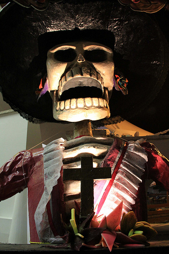 6290285927_c04ef10d3c