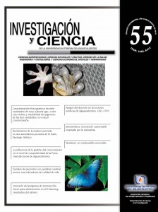 832 Revista Investigacion y Ciencia