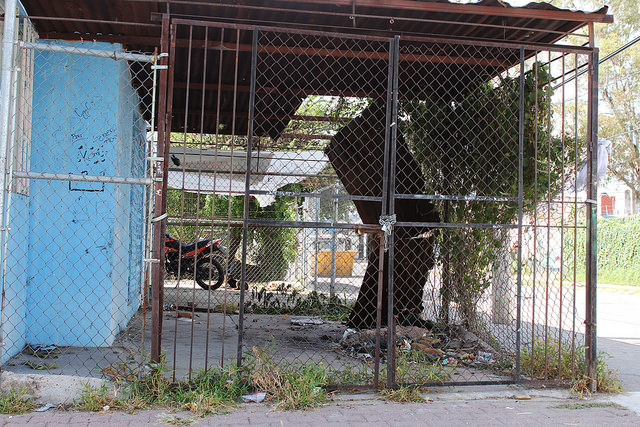 15729587272_ced3d5db32_z