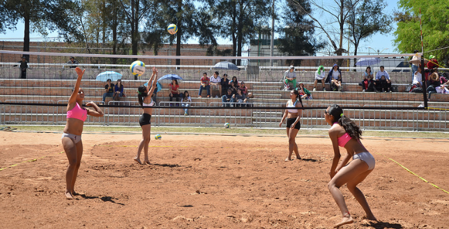 Captura de pantalla 2017-01-31 a las 10.55.31