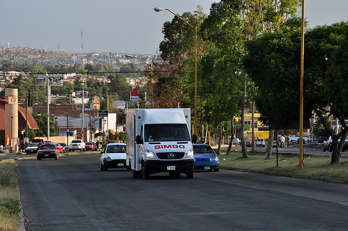 Implementa Municipio capital medidas de seguridad vial