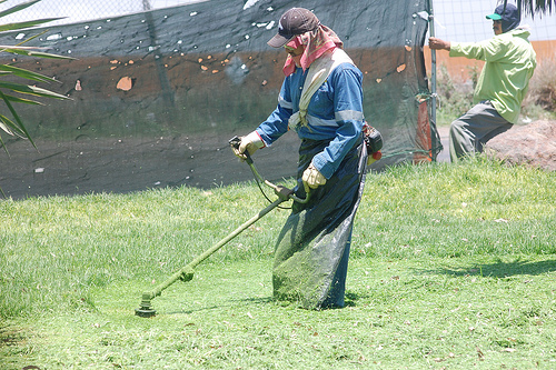 Uso del agua debe ser inteligente, camellones con pasto son un error: Conciencia Ecológica