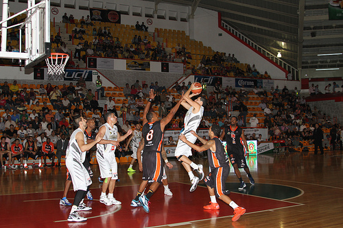 Panteras caza Correcaminos en su propia casa