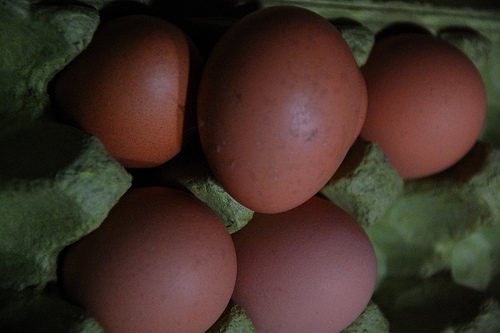 Senasica: se van a aplicar sanciones a la especulación