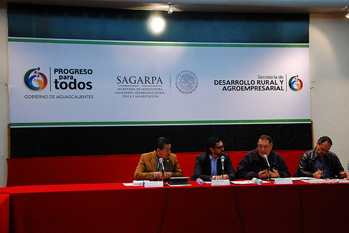 Nuevo brote del virus AH7N3 en las granjas