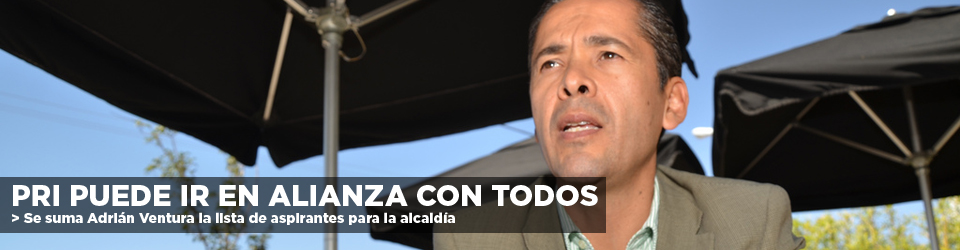 Aconsejable echar mano de las encuestas externas, señala Adrián Ventura