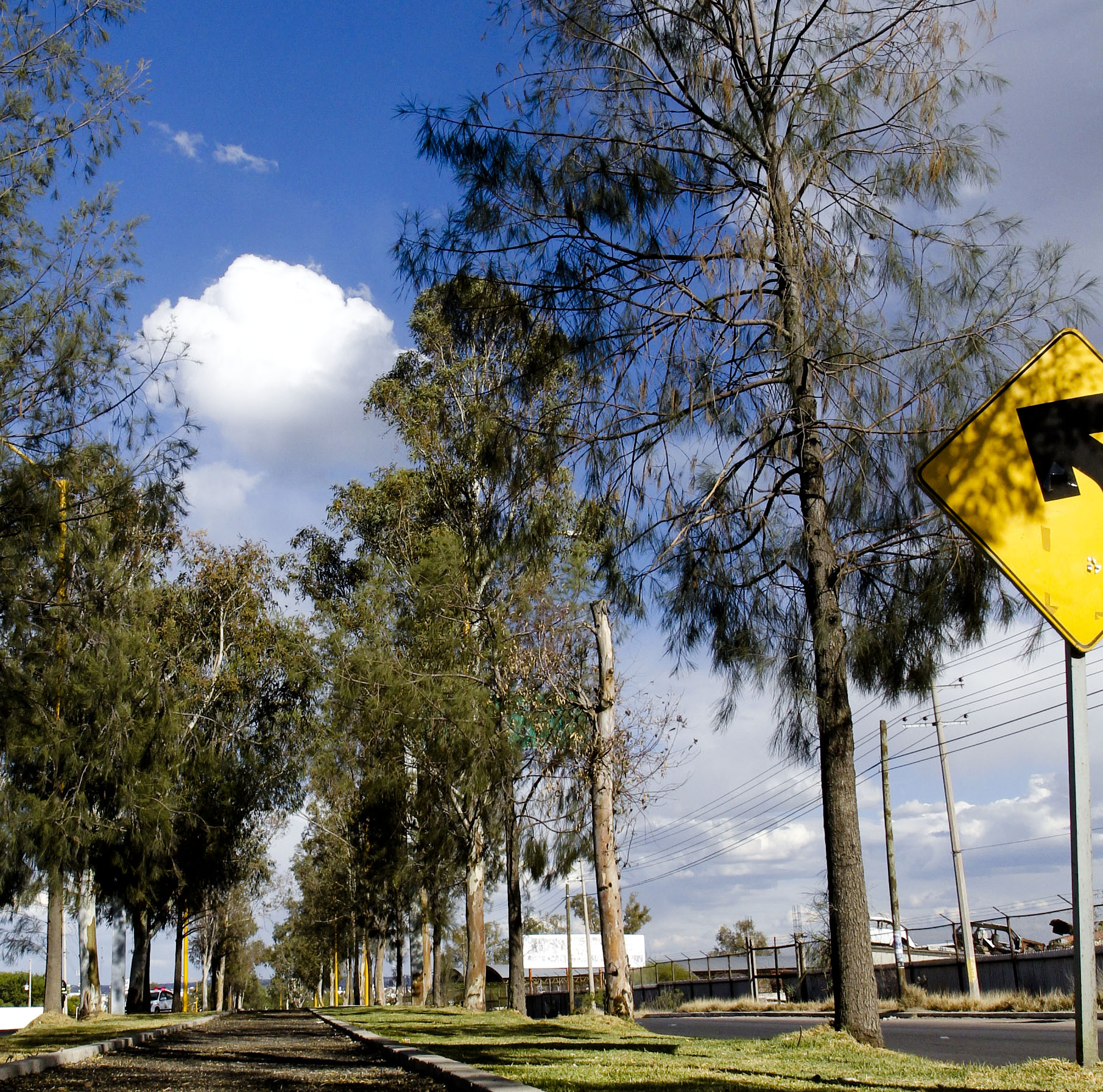 Rehabilitan camellones de Ojocaliente II y Haciendas de Aguascalientes