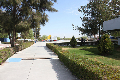 Informan a comunidad estudiantil de la UTA sobre derechos sexuales y reproductivos