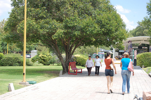 Convocatoria de admisión a pregrado y bachillerato de la UAA