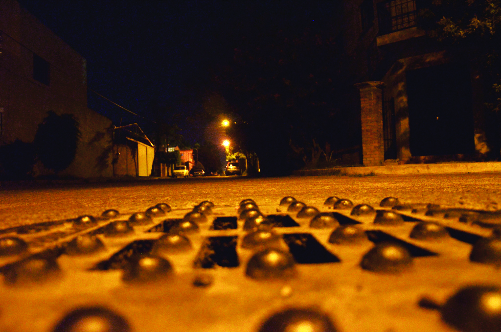 “Efecto cucaracha” necesita ser combatido con buena coordinación y nuevas estrategias