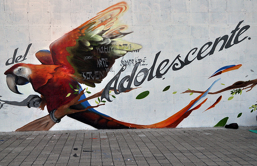 Casa del adolescente: un espacio para aprender, practicar deportes y conocer a más jóvenes