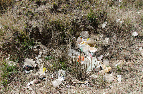 Modifican horario de entrada al área natural protegida del Cerro del Muerto