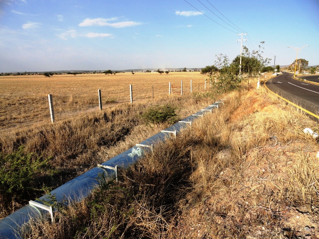 Reconoce Gobierno estatal la importancia de preservar los humedales