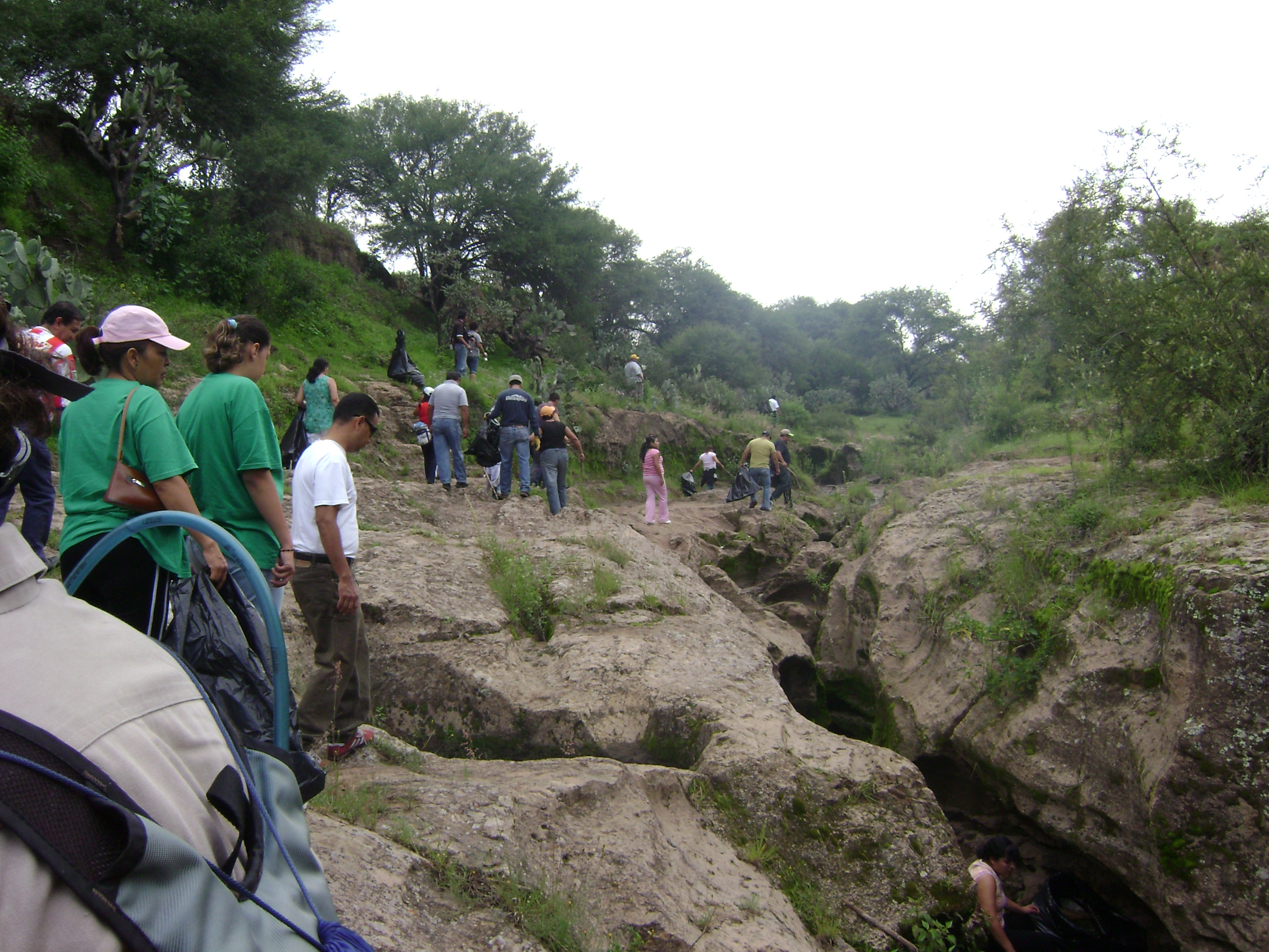 Ecologistas se oponen a urbanización del bosque de Cobos
