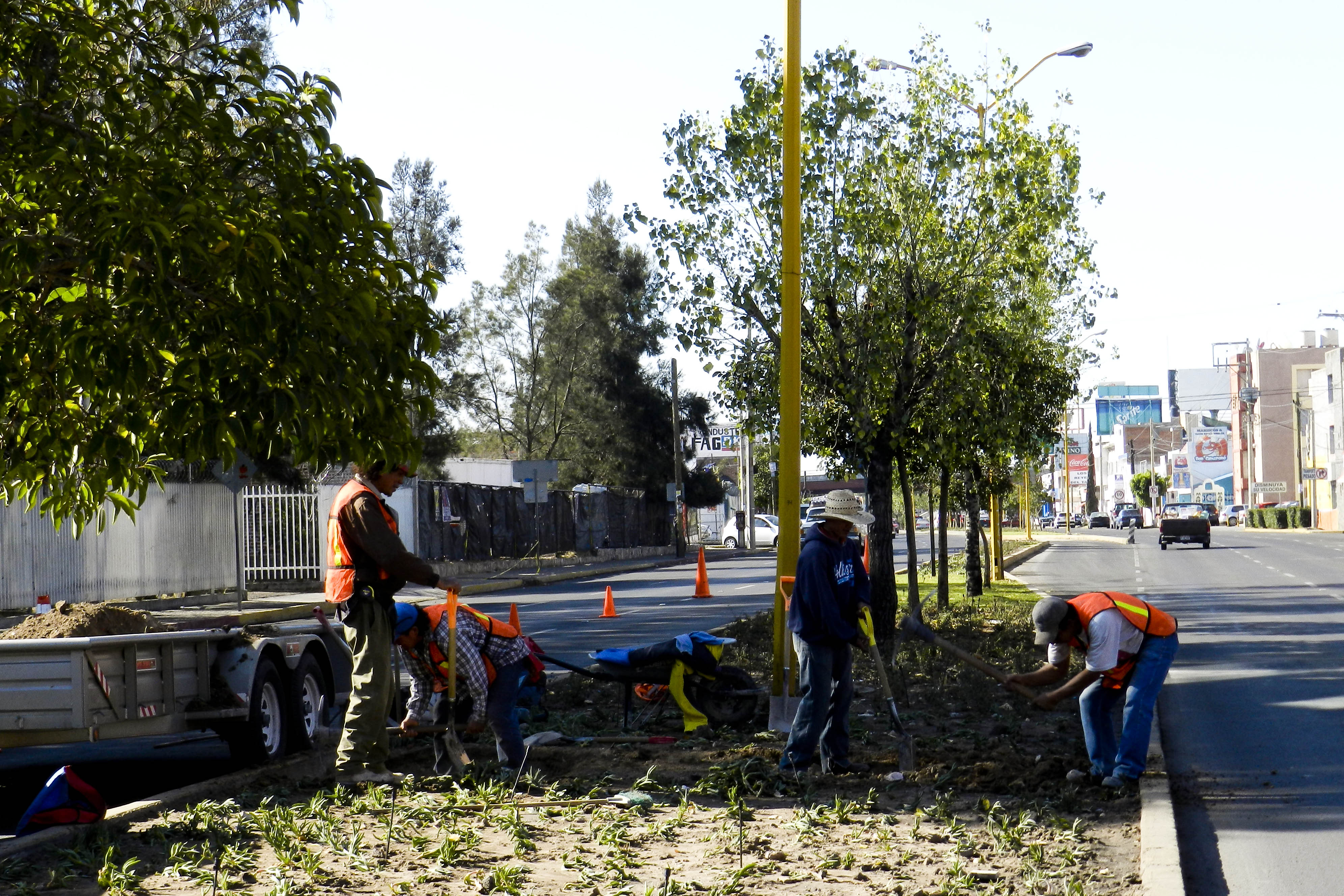 Por concluir los trabajos de rehabilitación en el camellón central de la avenida Héroe de Nacozari