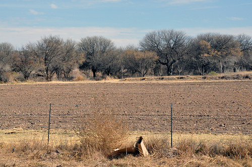 El campo y su gente, con más miseria; urge intervención gubernamental: Movimiento Ciudadano