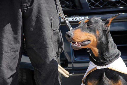 Desmiente alcaldesa ineficiencia del Municipio en delitos del fuero común
