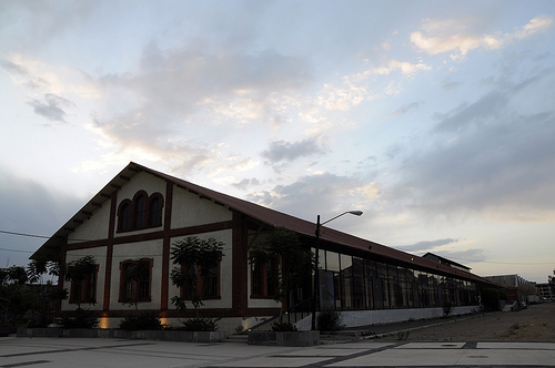 Universidad de las Artes y Proarte: retos de la directora del Instituto Cultural