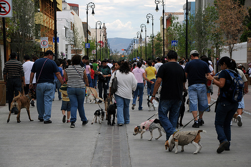 Cumple tres años A Mover la Patita de los Amigos Pro Animal