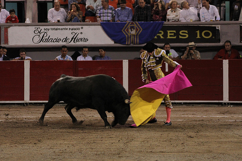 Presentará el Verde iniciativa para prohibir las corridas de toros