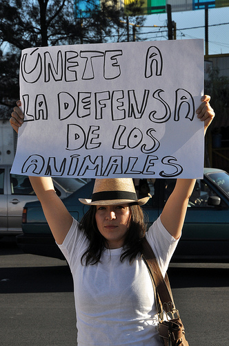 Protestan frente al Circo Chino de Pekín