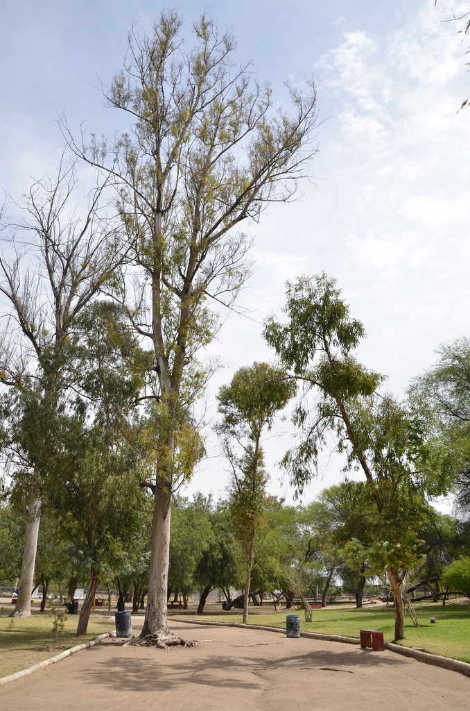 Que se expropie ya a La Pona, piden legisladores