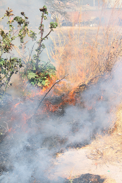 4 mil 700 incendios forestales en el estado, en lo que va de la temporada