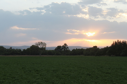 Estadística Básica sobre Medio Ambiente en Aguascalientes