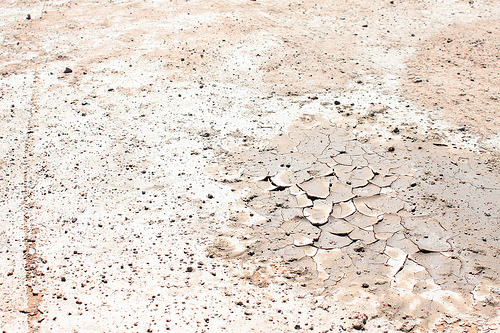 Se pedirán recursos de emergencia debido a la sequía