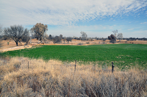 Se centrará Sagarpa en las personas del campo y no en la producción