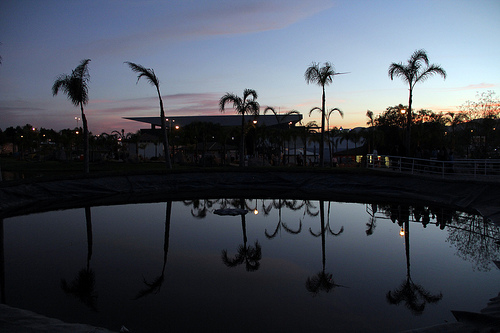 PVEM denuncia daño ambiental al poniente de la ciudad, lo llaman “ecocidio”.