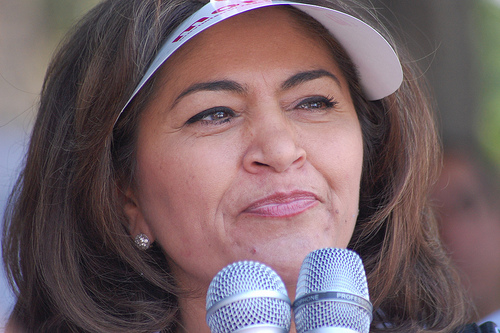 Morena tiene dos años para consolidarse, el trabajo está siendo arduo: Nora Ruvalcaba