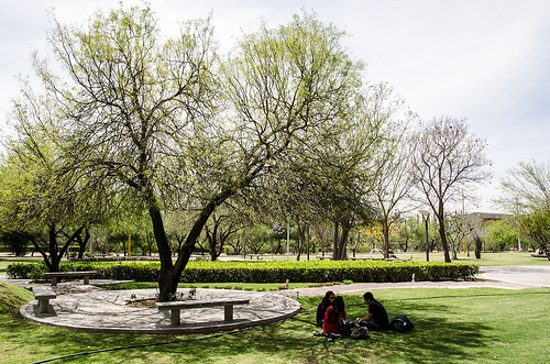 Presentan segundo panel sobre comunicación, religión, poder y telenovelas