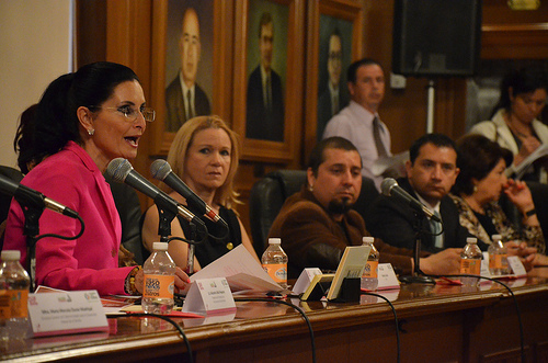 El DIF Estatal en la Feria Nacional de San Marcos 2013 tendrá ocho actividades