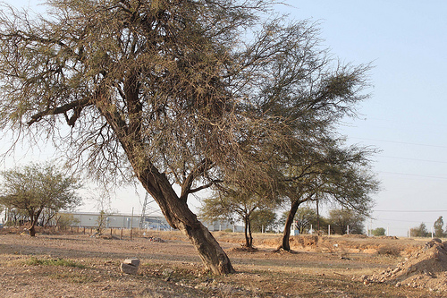Permuta de La Pona tendrá que ser por parte de la siguiente administración