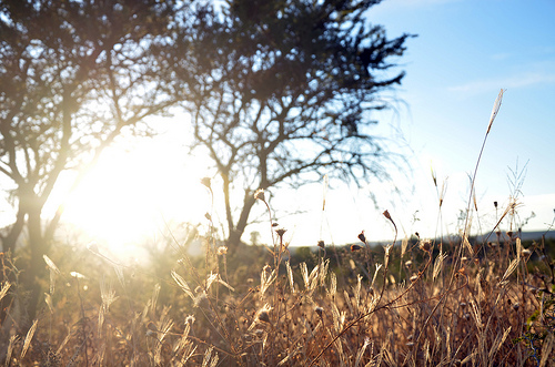Políticas públicas encaminadas a contrarrestar el cambio climático
