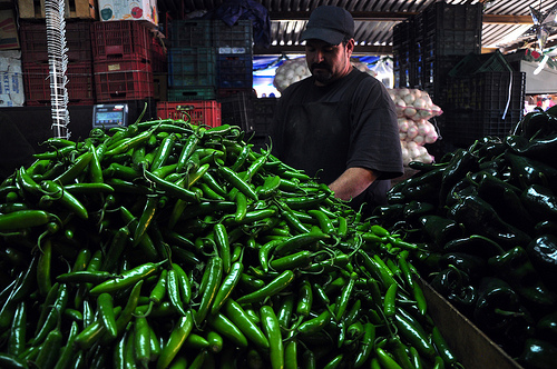 Ofrece candidato del PAN seguridad y modernizar el Centro Agropecuario
