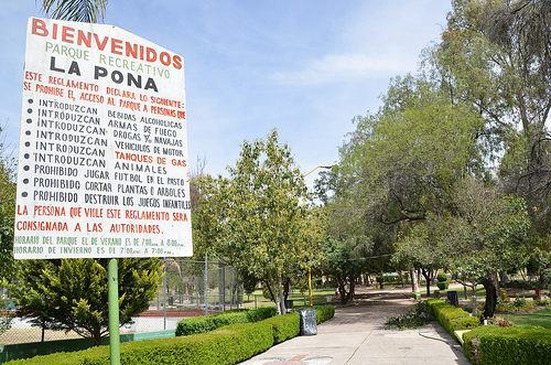 Verdaderamente alarmante la grilla legislativa por el caso de La Pona