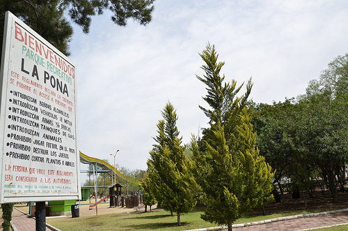 La Pona, fuera del alcance de Conafor, por ser de particulares y zona urbana