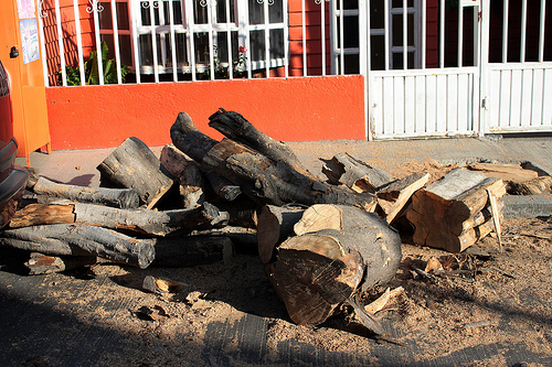 Otro más que muerde el polvo