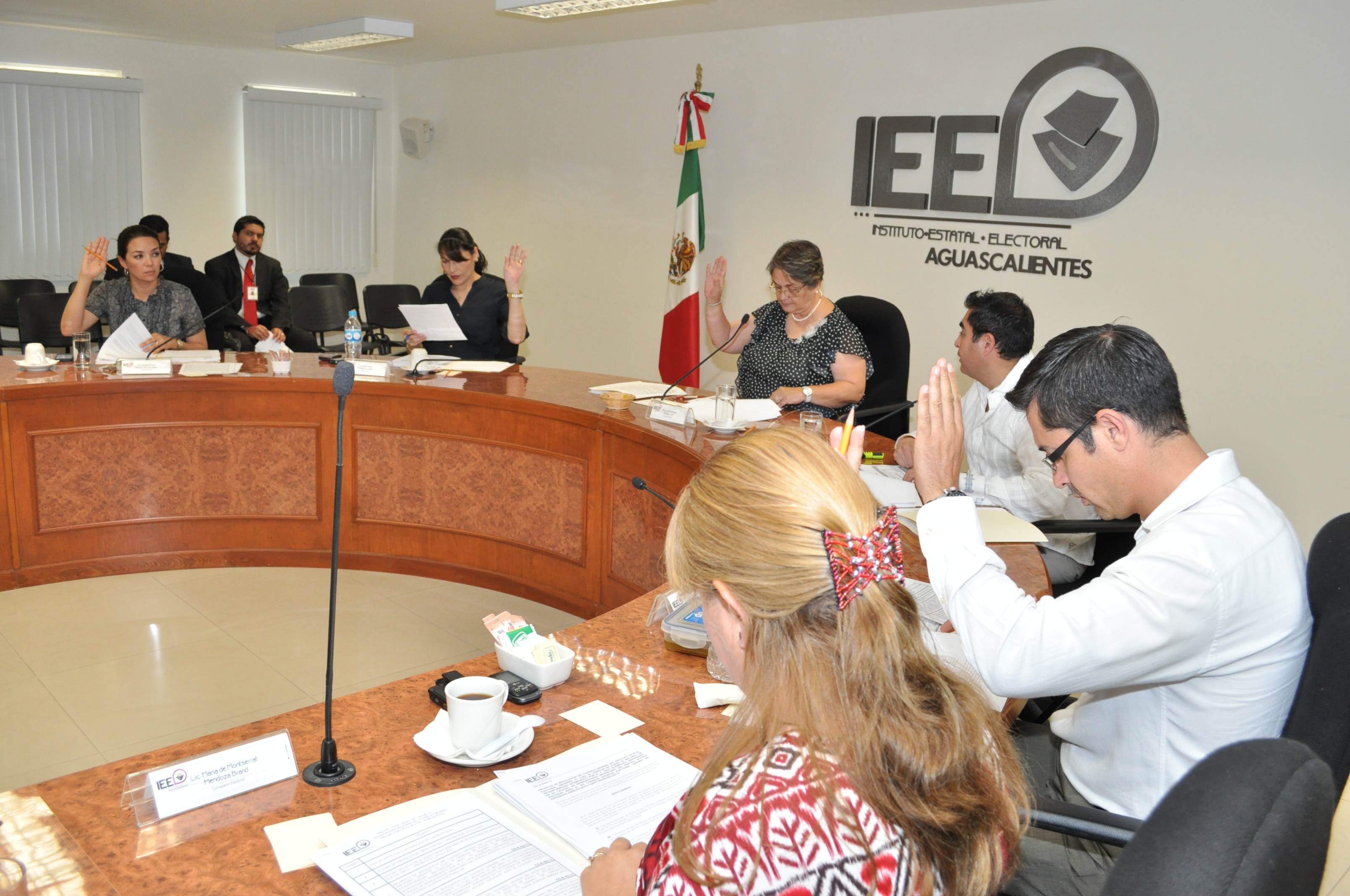 El IEE aprueba formato de Actas y Boletas para el proceso electoral