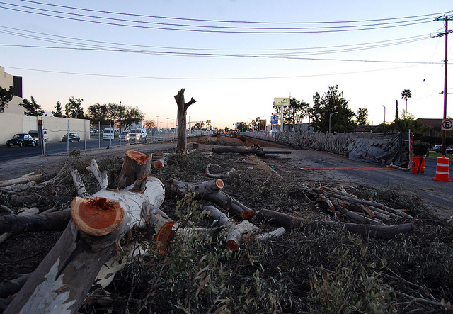 Incorpora Profepa registro de denuncias ambientales ciudadanas al Inegi