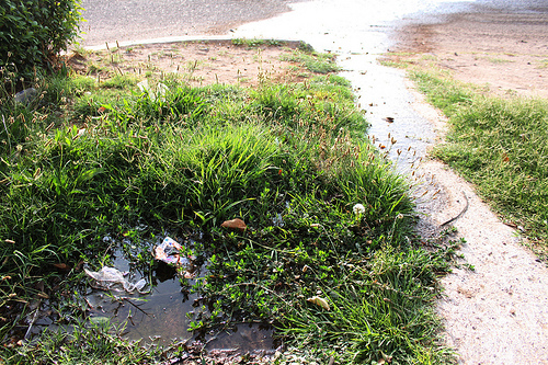 Comienza Gobierno municipal actividades del Día Mundial del Medio Ambiente