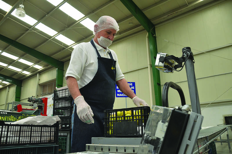 Se registran en el país más de mil 500 empresas socialmente responsables