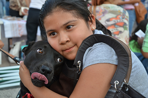 Reglamento de Protección Animal es inoperante: Amigos Pro Animal