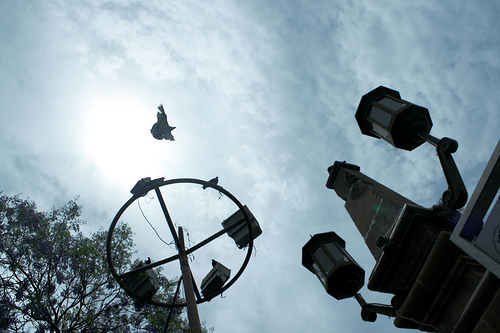 Gobierno del Estado está listo para atender con eficiencia la jornada electoral