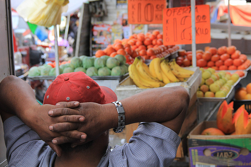 Declaran a siete municipios zona libre de moscas de la fruta