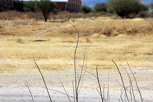 Se celebra el Día Mundial de la Conservación del Suelo